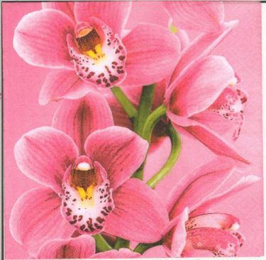 Dekorszalvéta - Pink Orchid